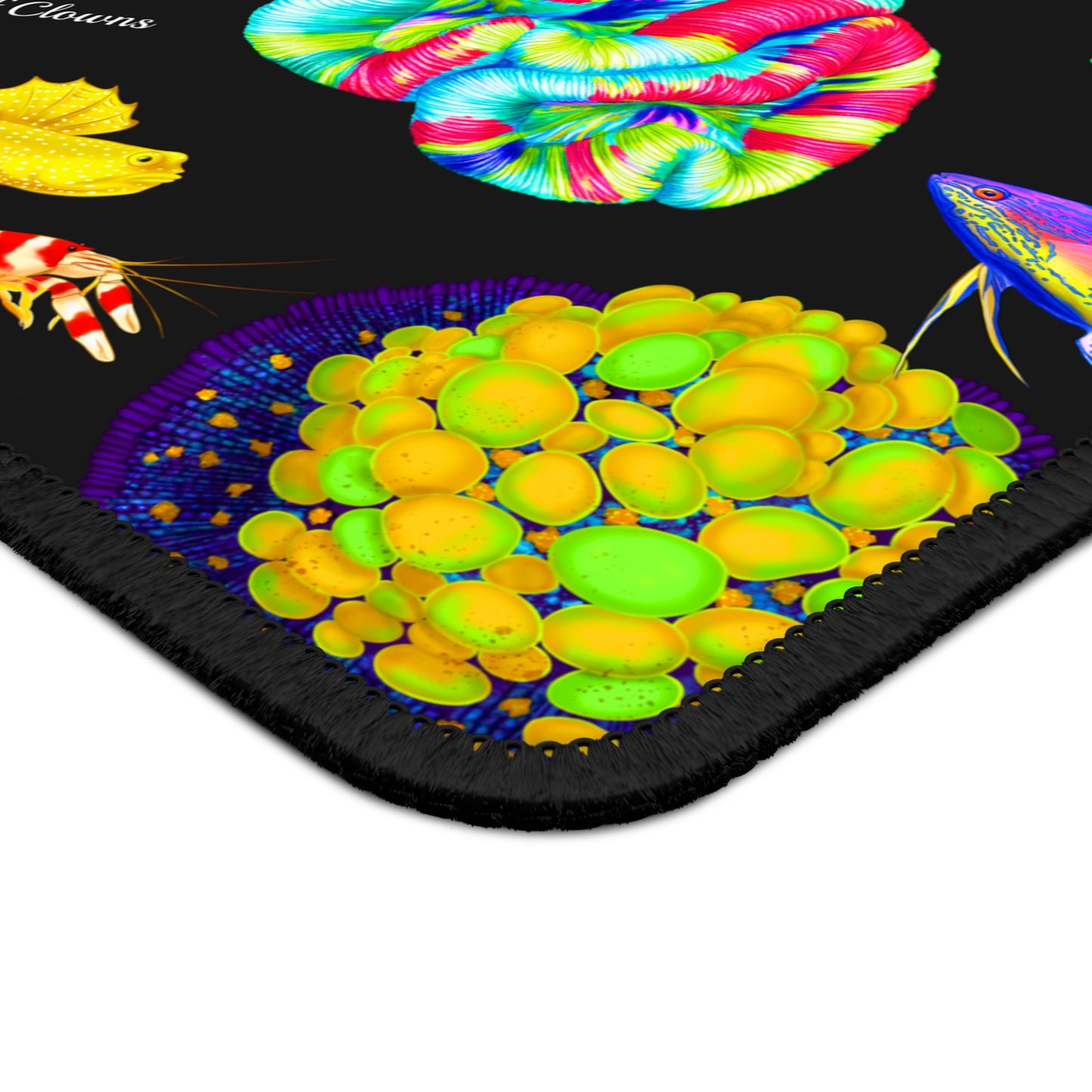 Coral Reef Festival - Reef of Clowns LLC