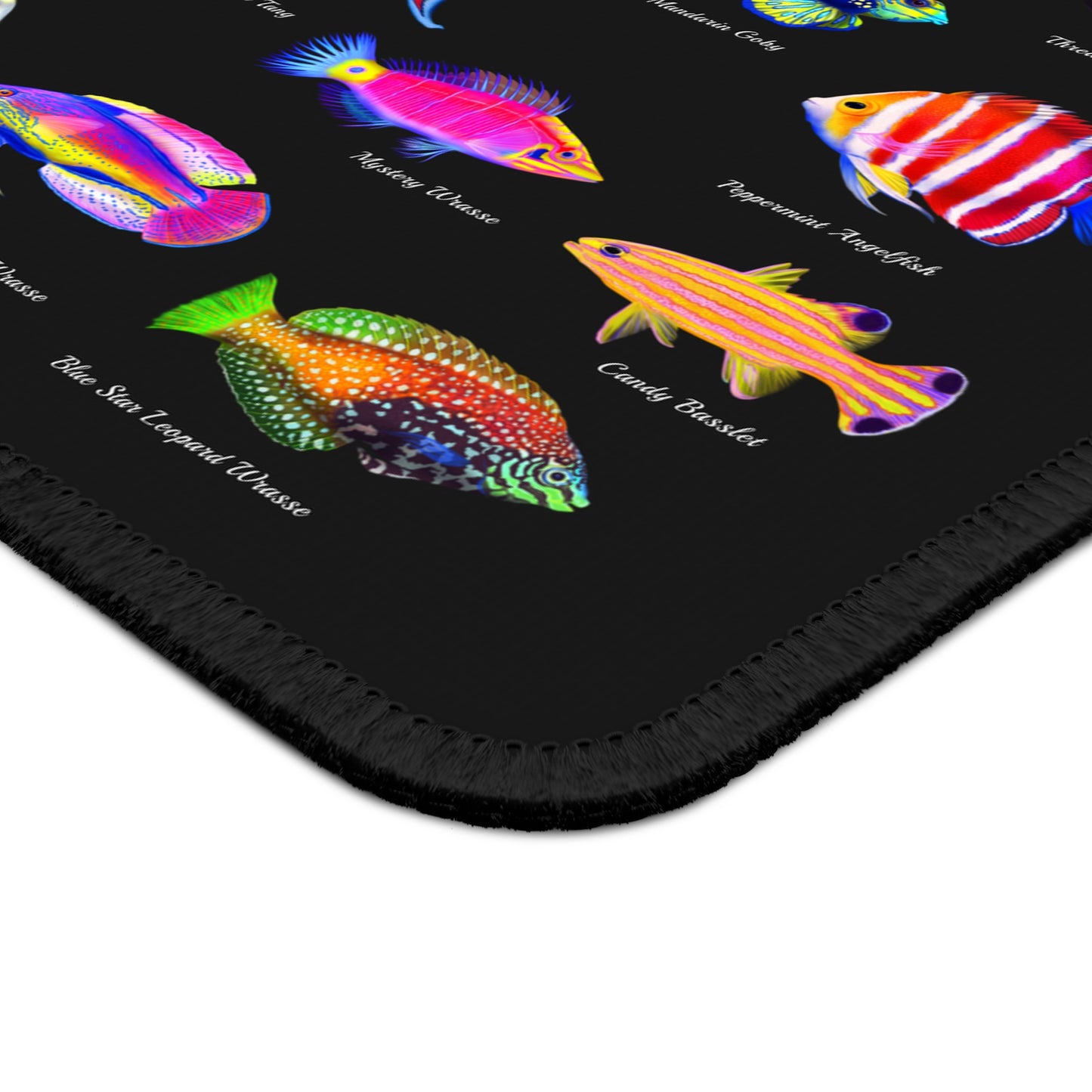 Saltwater Fish Collection - Reef of Clowns LLC