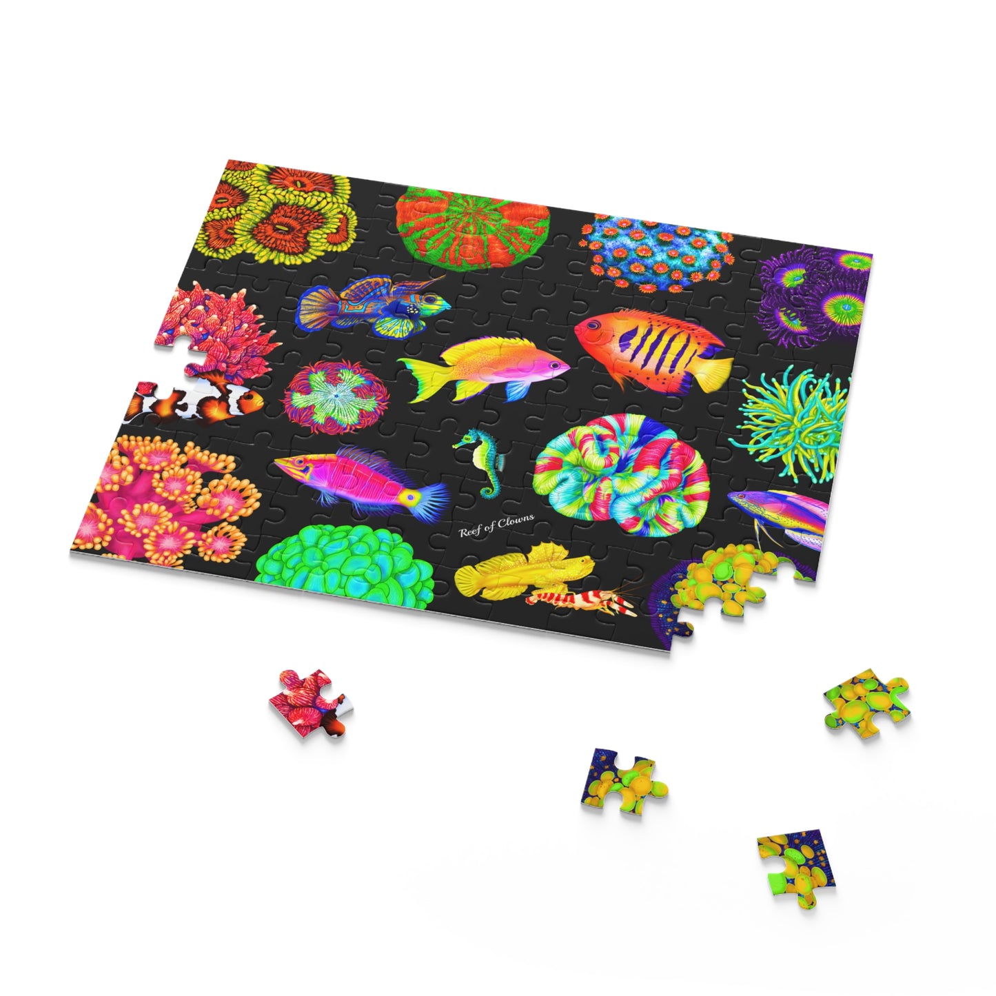 Reef of Clowns Signature Reef Puzzle