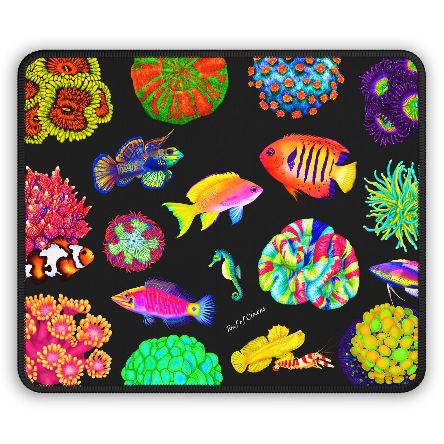 Coral Reef Festival - Reef of Clowns LLC