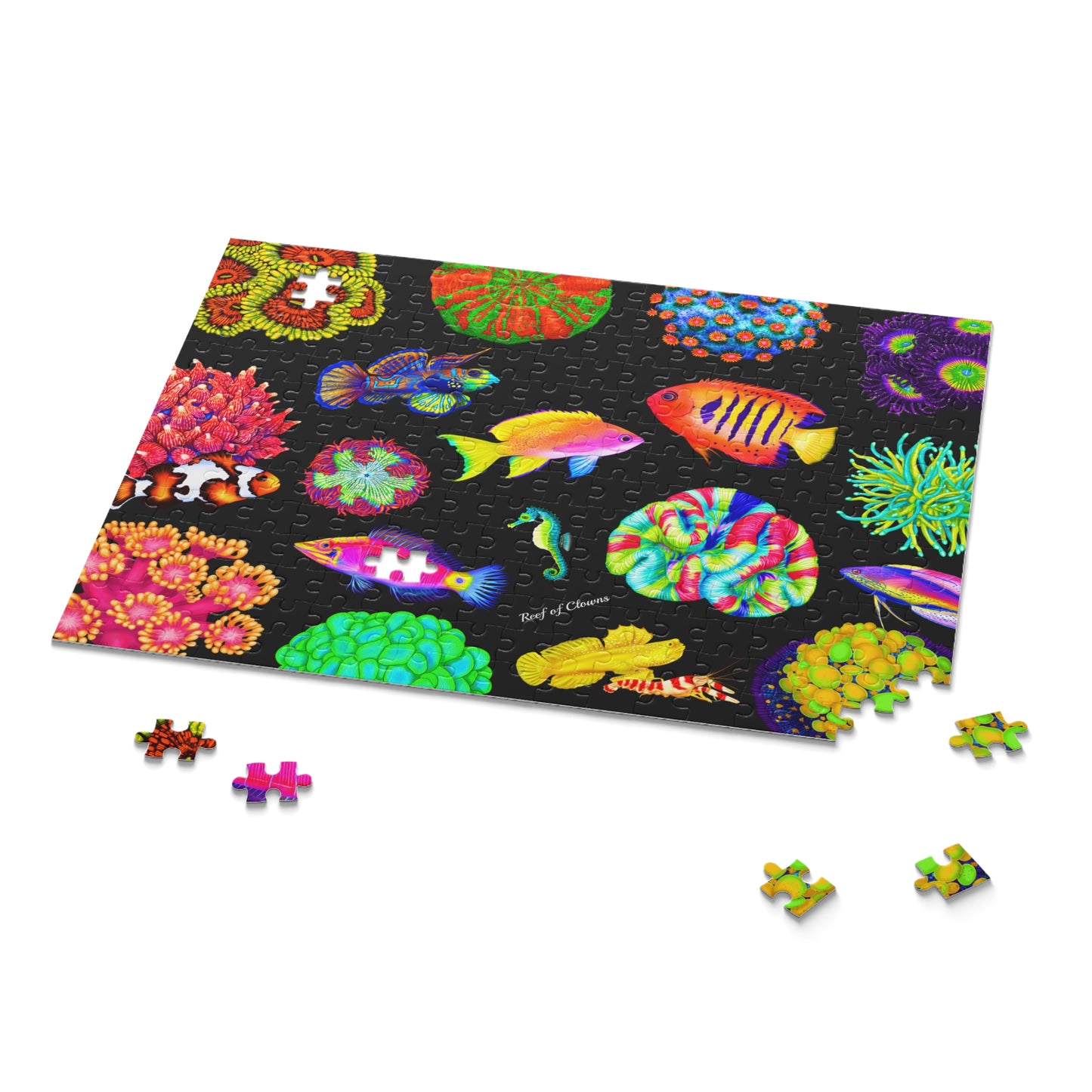 Reef of Clowns Signature Reef Puzzle