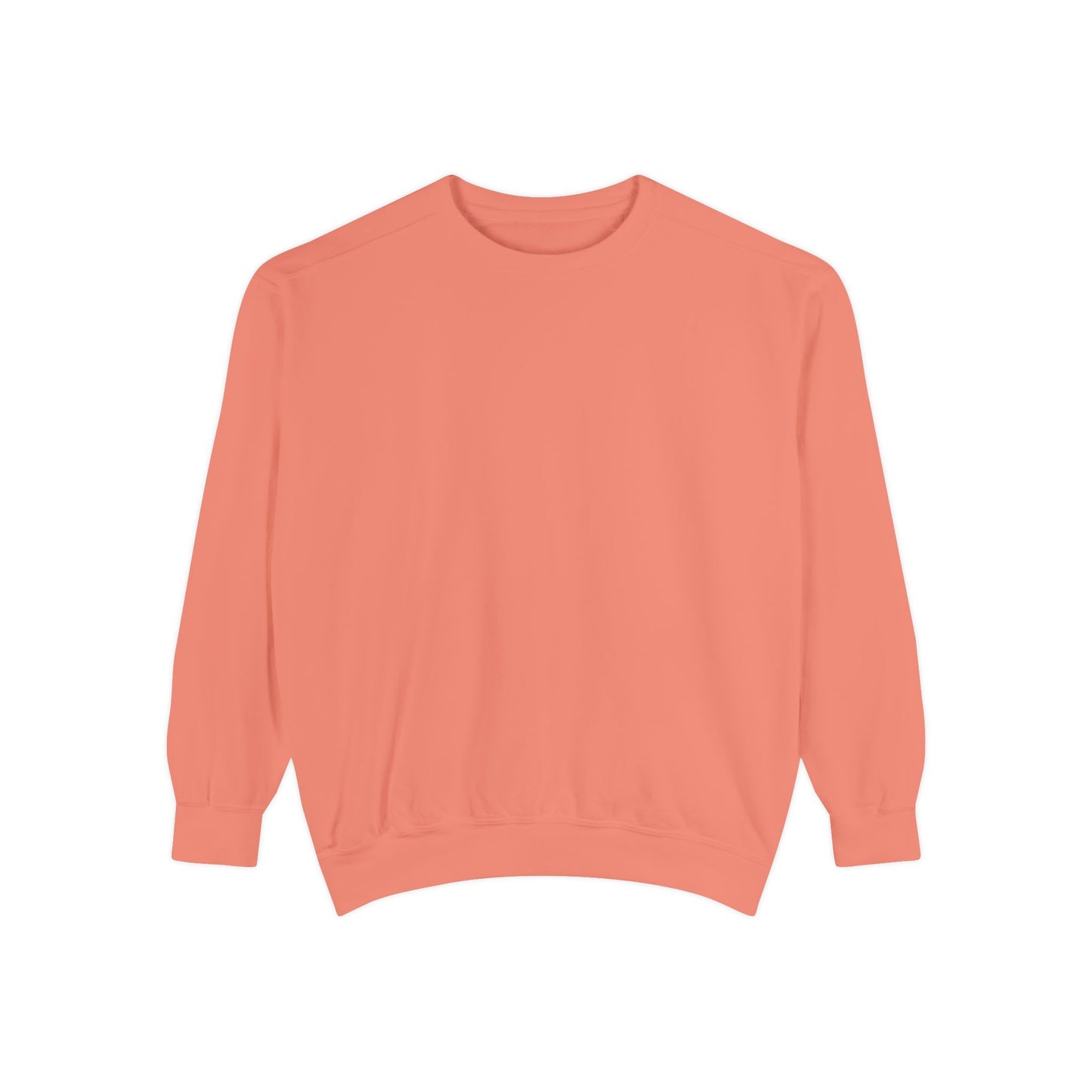 Aquarium Crew Premium Sweatshirt