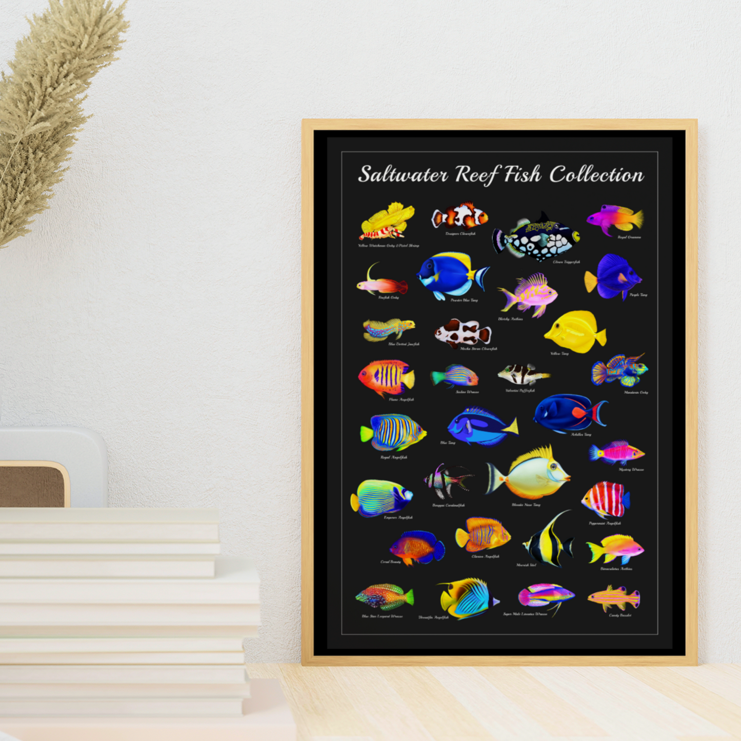 Saltwater Fish Identification Poster | Reef Tank