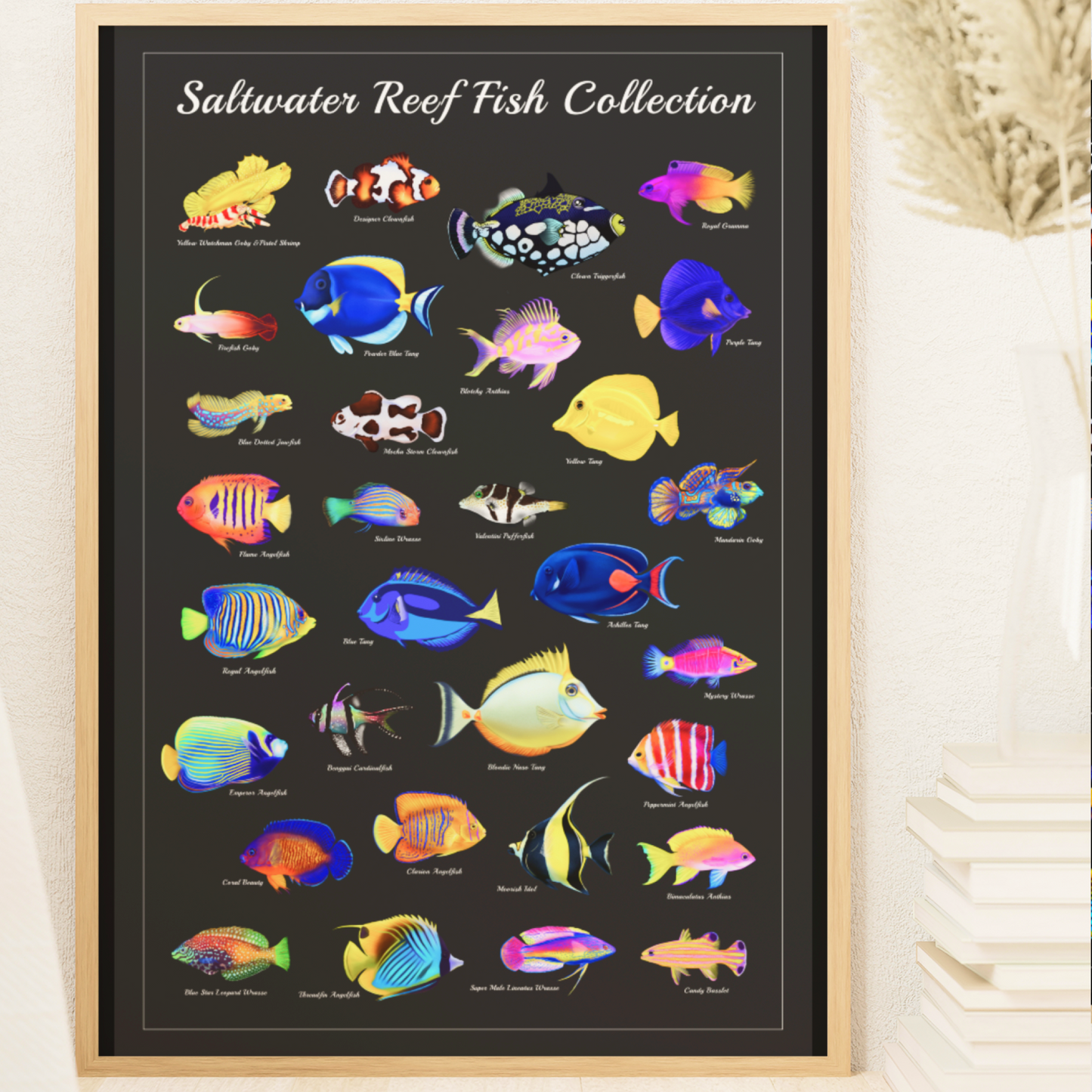 Saltwater Fish Identification Poster | Reef Tank