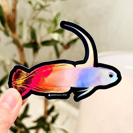 Firefish Goby Sticker (Holographic) - Reef of Clowns LLC