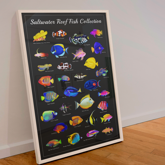 Saltwater Fish Identification Poster | Reef Tank