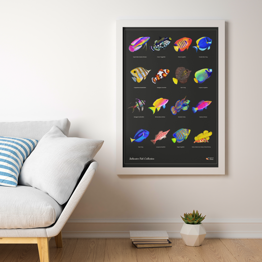 Saltwater Fish Poster | Reef Tank