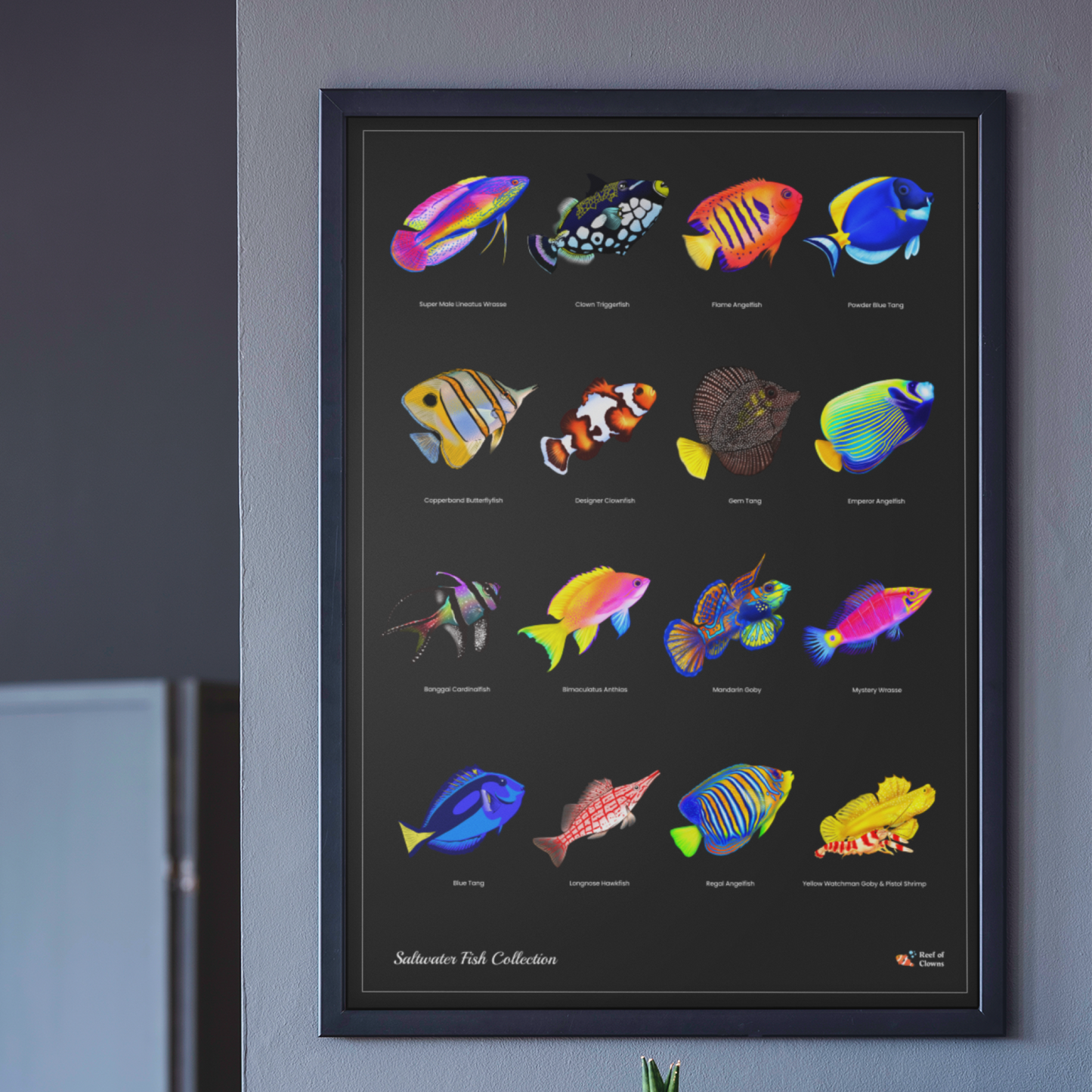 Saltwater Fish Poster | Reef Tank