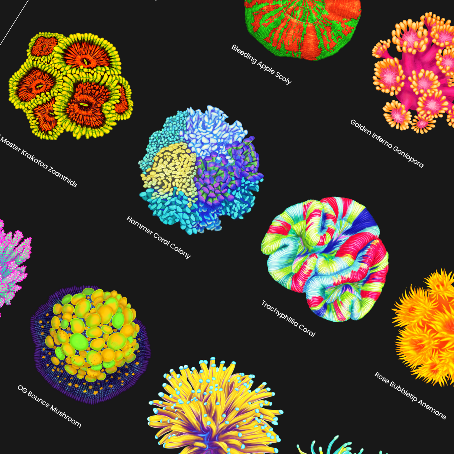 Vertical Vibrant Coral Poster | Reef Tank