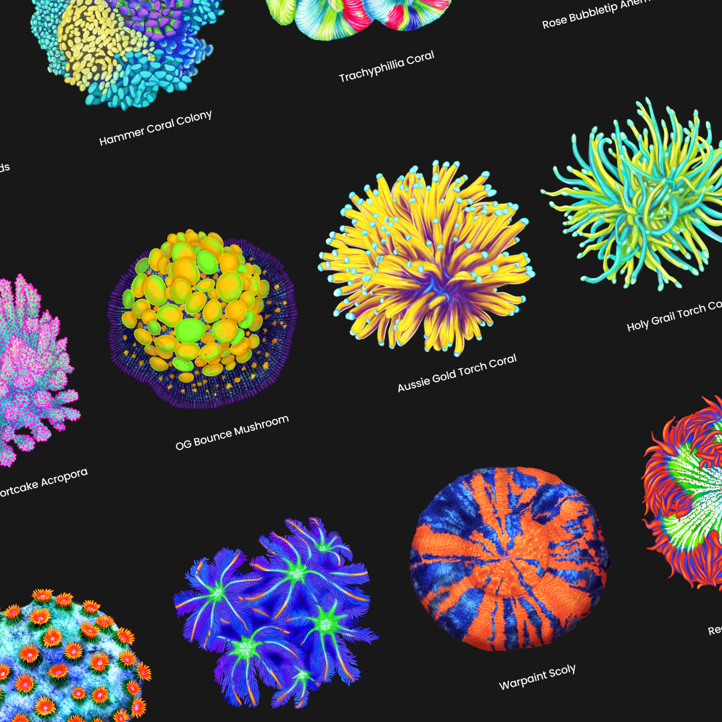 Vertical Vibrant Coral Poster | Reef Tank