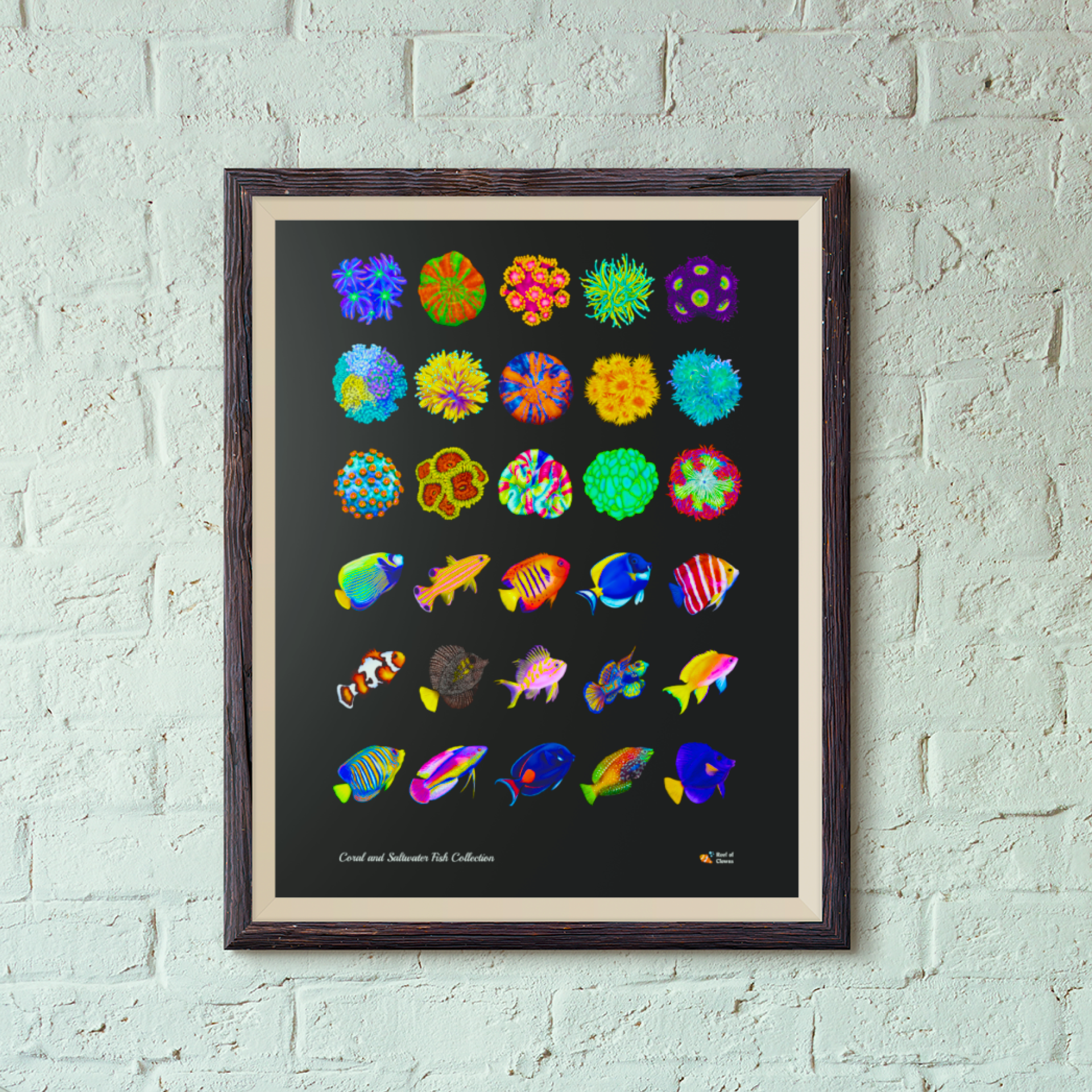 Coral and Saltwater Fish Collection Poster - Reef of Clowns LLC
