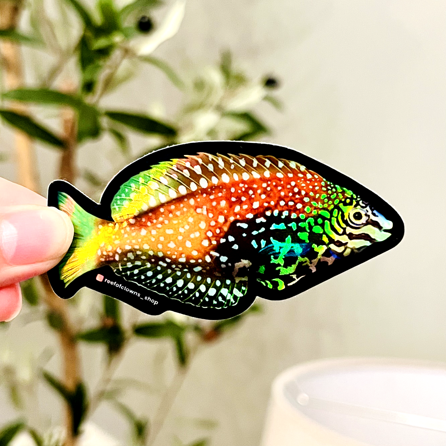 Blue Star Leopard Wrasse Sticker (Holographic) - Reef of Clowns LLC