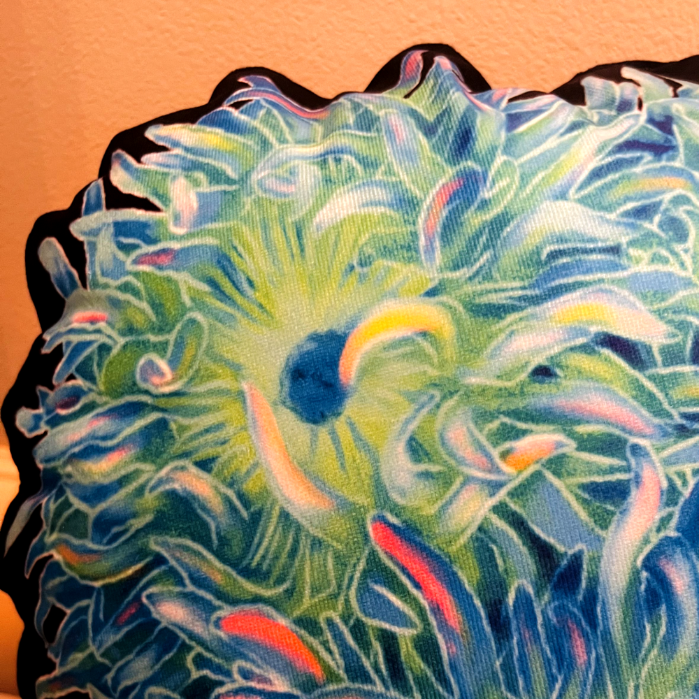 Duncan Coral Pillow - Reef of Clowns LLC