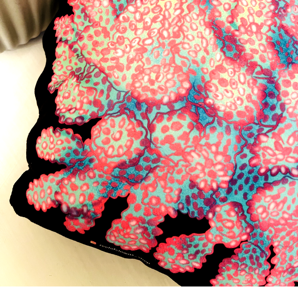 Strawberry Shortcake Acropora Pillow - Reef of Clowns LLC