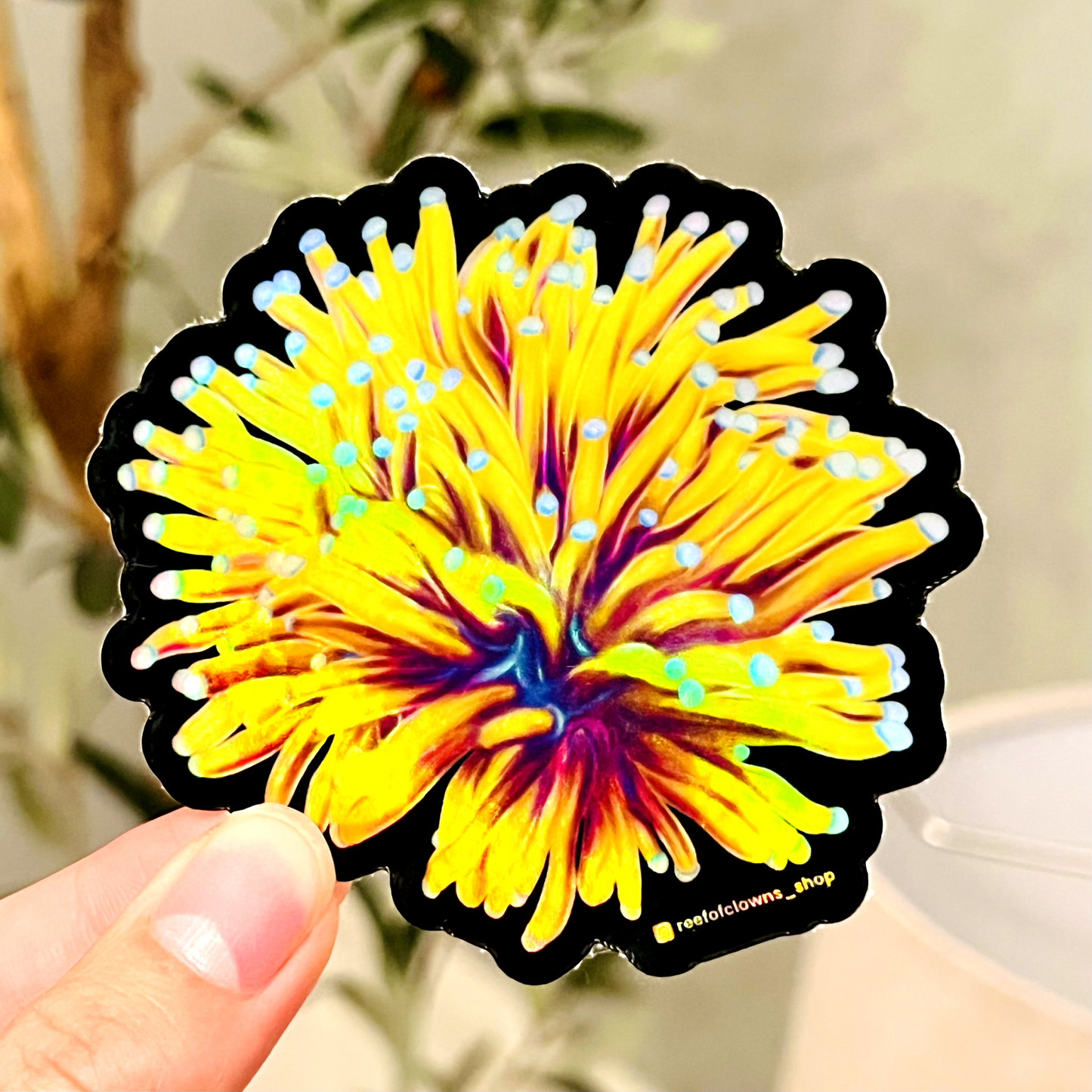 Aussie Gold Torch Coral (Holographic) - Reef of Clowns LLC