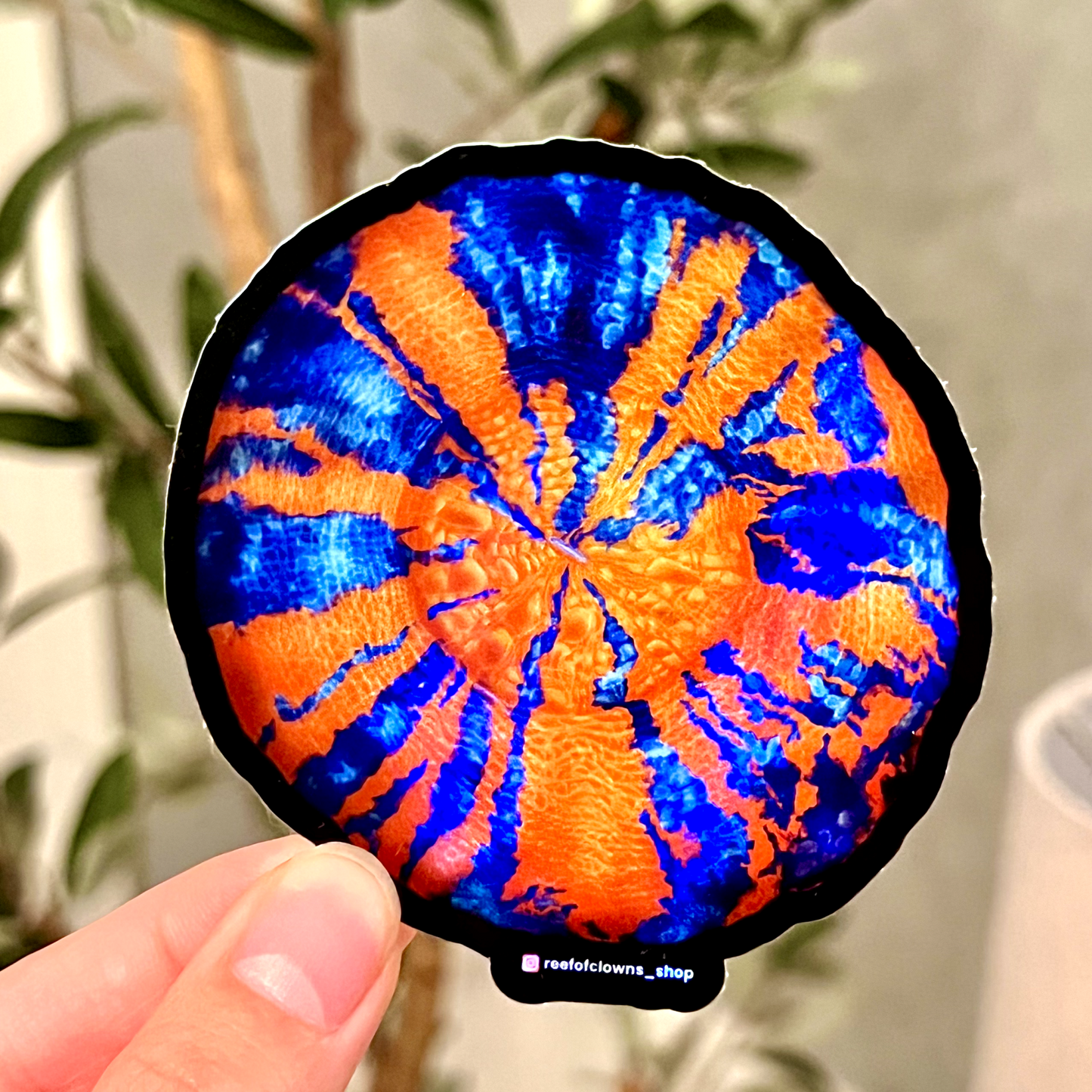 War Paint Scoly Sticker (Holographic) - Reef of Clowns LLC