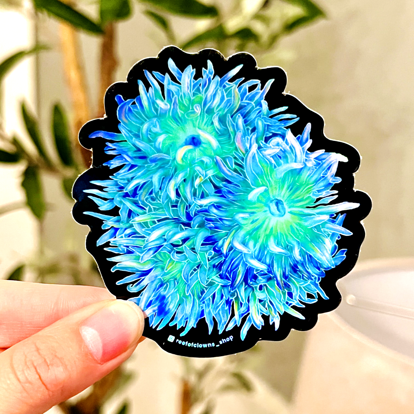 Duncan Coral Sticker (Holographic) - Reef of Clowns LLC