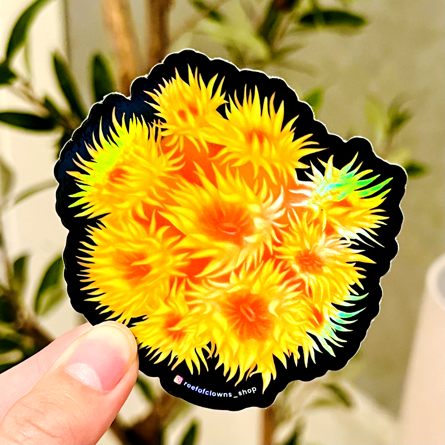 Sun Coral Sticker (Holographic) - Reef of Clowns LLC