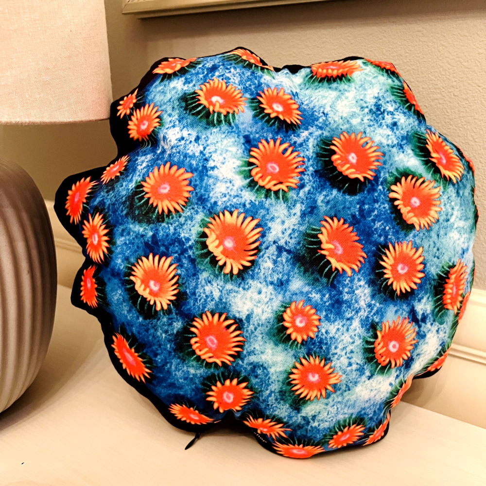 Meteor Shower Cyphastrea Pillow - Reef of Clowns LLC