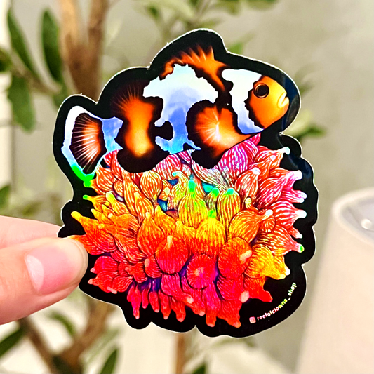 Clownfish & Anemone Sticker (Holographic) - Reef of Clowns LLC