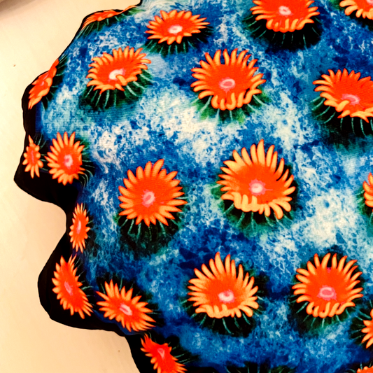 Meteor Shower Cyphastrea Pillow - Reef of Clowns LLC