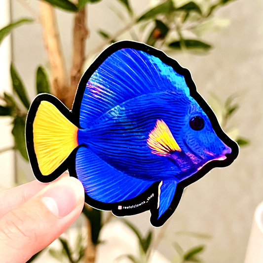 Purple Tang Sticker (Holographic) - Reef of Clowns LLC