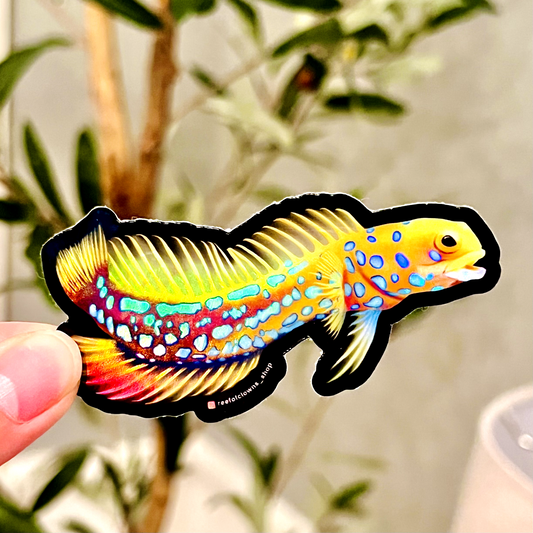 Blue Dotted Jawfish Sticker (Holographic) - Reef of Clowns LLC