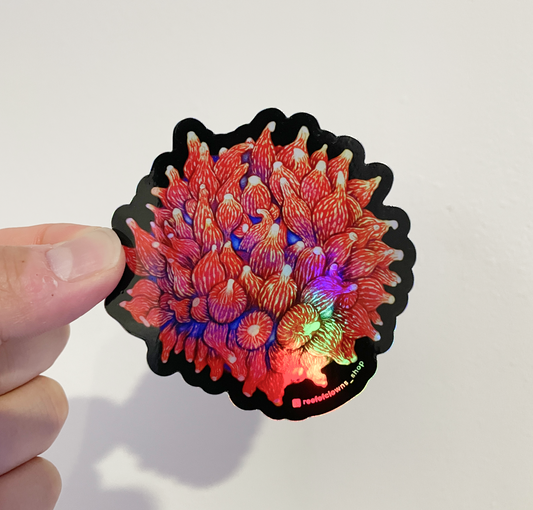 Rose Bubbletip Anemone Sticker (Holographic) - Reef of Clowns LLC