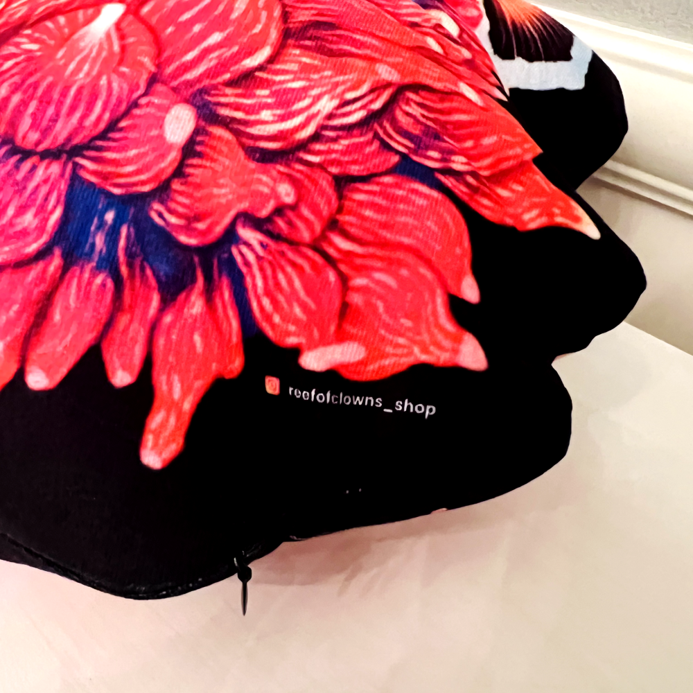 Clownfish Hosting on Anemone Pillow - Reef of Clowns LLC