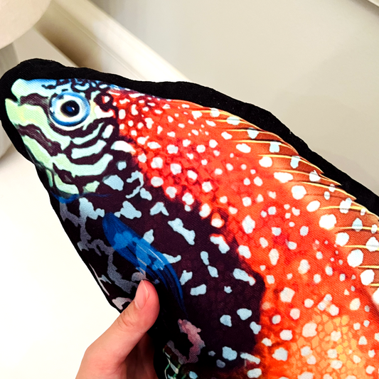 Blue Star Leopard Wrasse Pillow - Reef of Clowns LLC