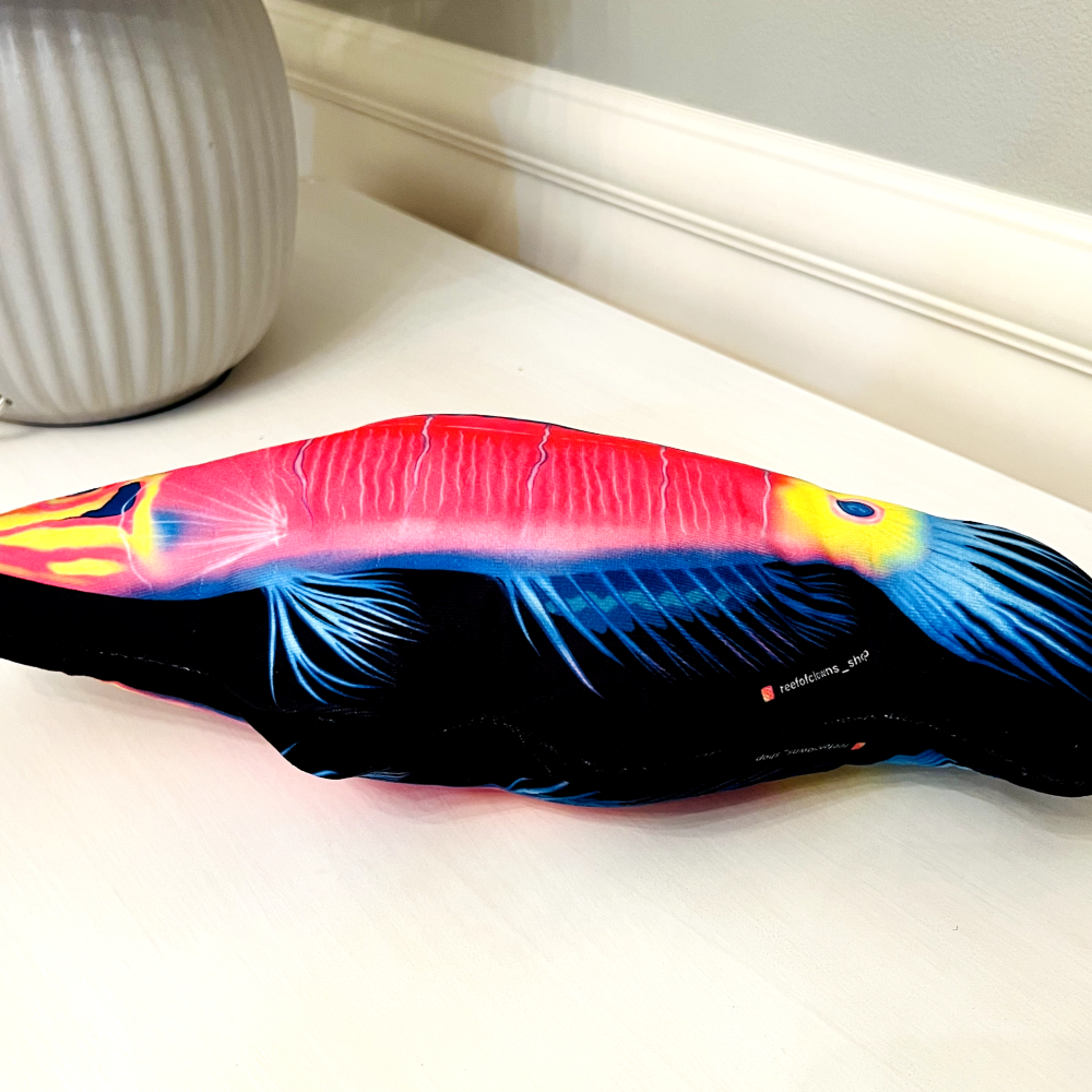 Mystery Wrasse Pillow - Reef of Clowns LLC
