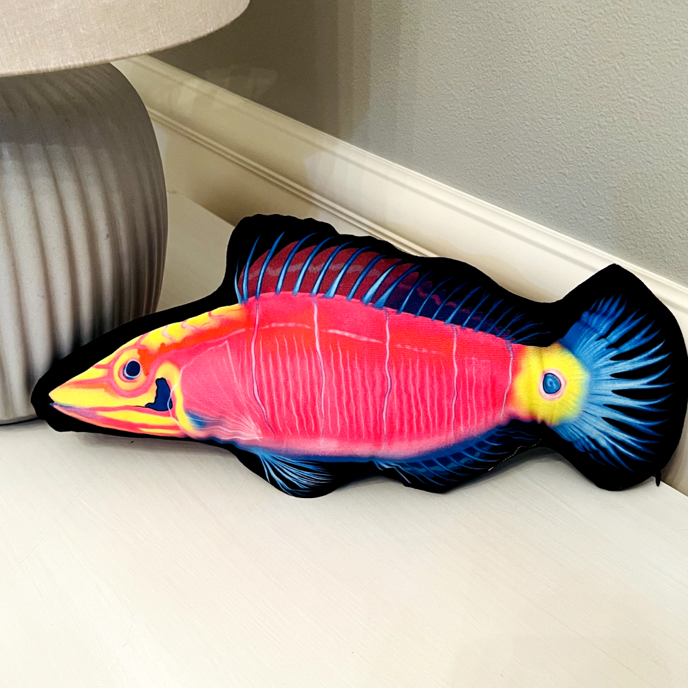 Mystery Wrasse Pillow - Reef of Clowns LLC