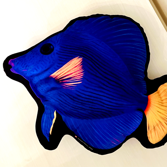 Purple Tang Pillow - Reef of Clowns LLC