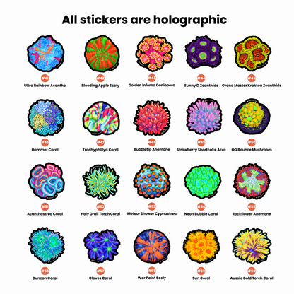 20 Holographic Coral Sticker Pack - Reef of Clowns LLC