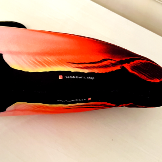 Firefish Pair Pillow - Reef of Clowns LLC