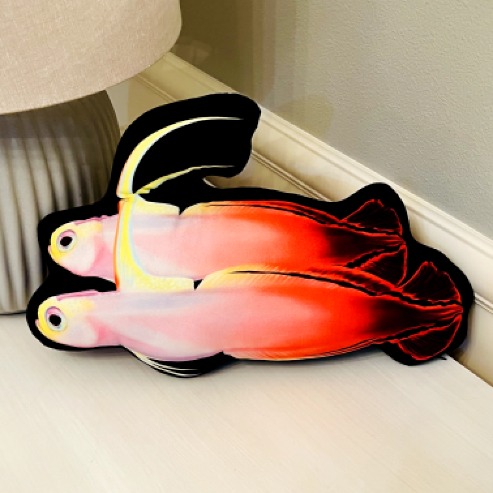 Firefish Pair Pillow - Reef of Clowns LLC