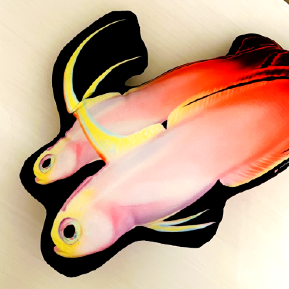 Firefish Pair Pillow - Reef of Clowns LLC
