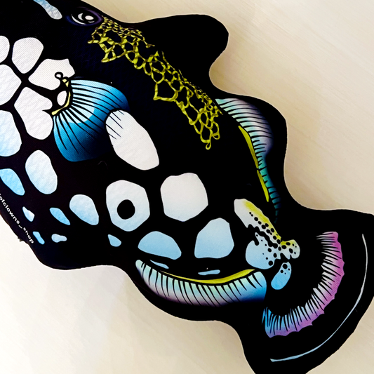 Clown Tiggerfish Pillow - Reef of Clowns LLC