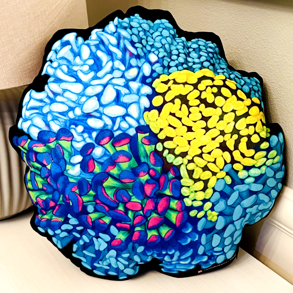 Hammer Coral Pillow - Reef of Clowns LLC