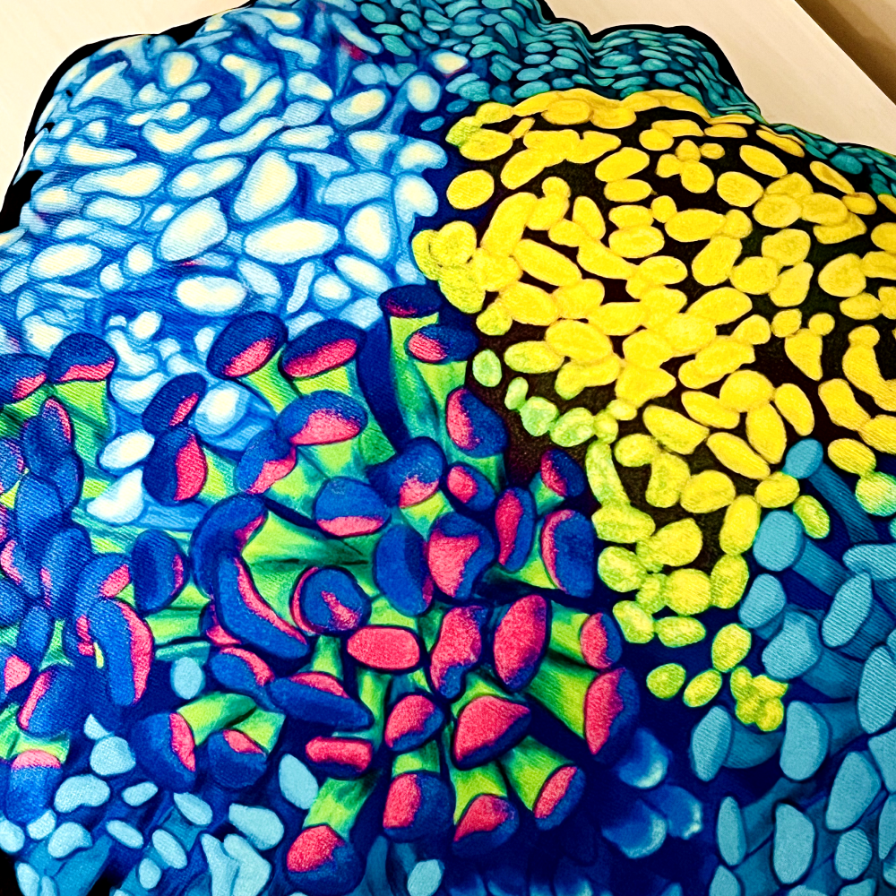 Hammer Coral Pillow - Reef of Clowns LLC