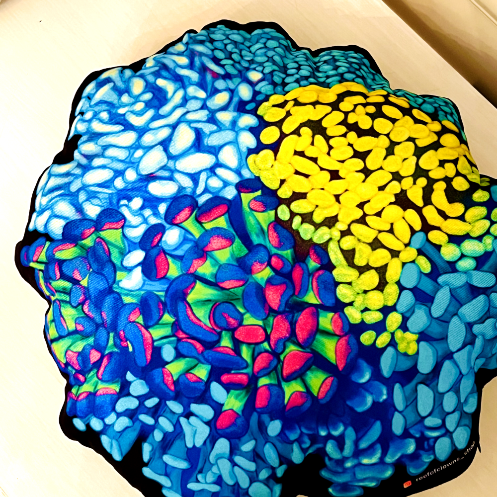 Hammer Coral Pillow - Reef of Clowns LLC