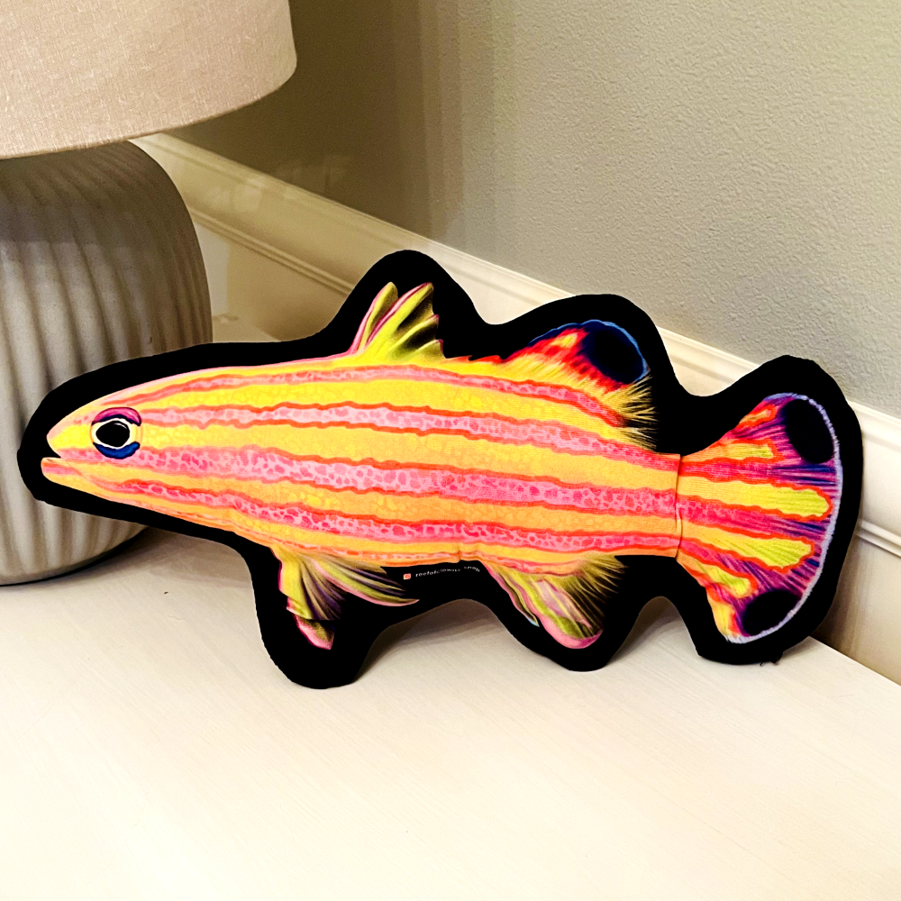 Candy Basslet Pillow - Reef of Clowns LLC