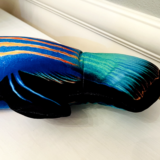 Sixline Wrasse Pillow - Reef of Clowns LLC
