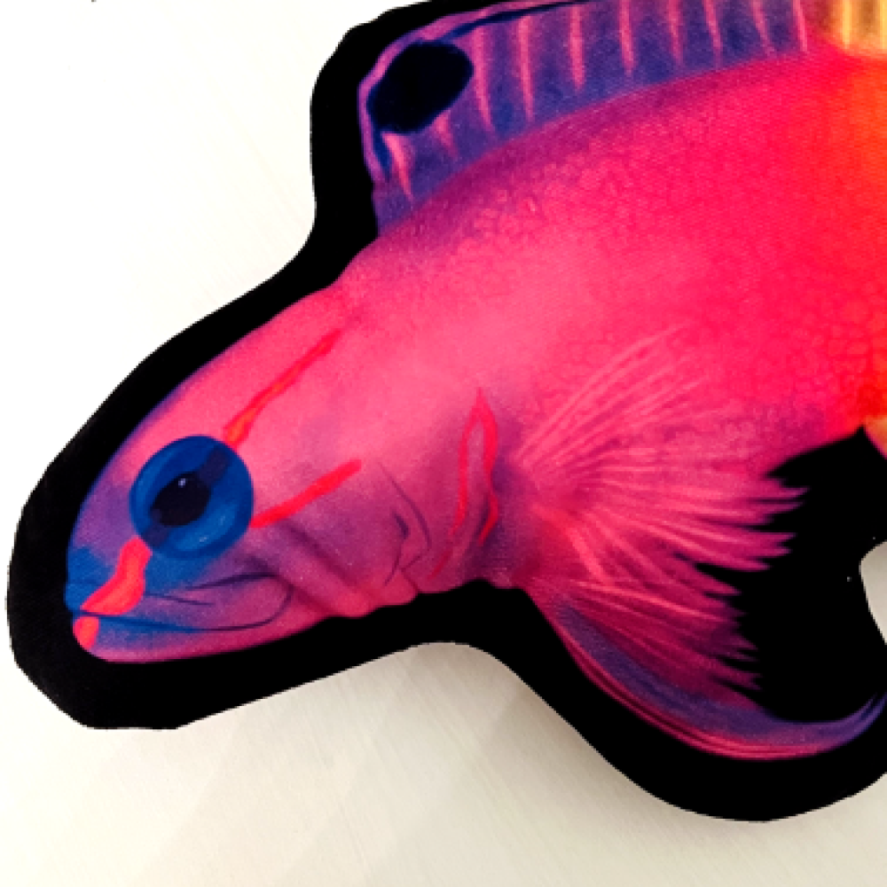 Royal Gramma Pillow - Reef of Clowns LLC