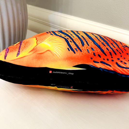 Clarion Angelfish Pillow - Reef of Clowns LLC
