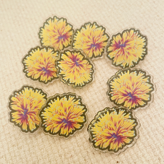 Aussie Gold Torch Pin - Reef of Clowns LLC