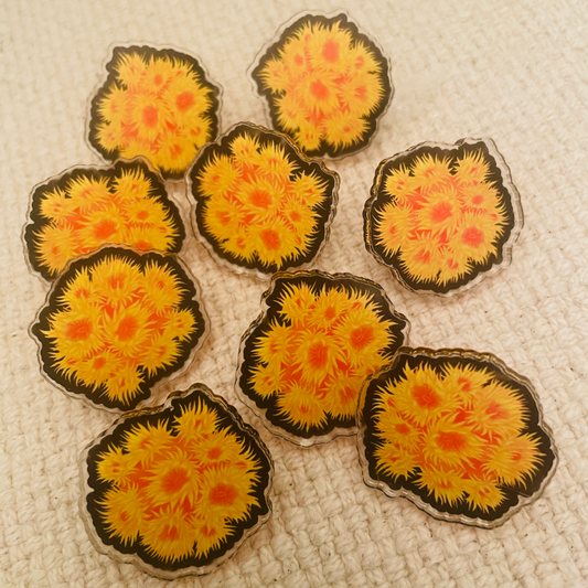 Sun Coral Pin - Reef of Clowns LLC
