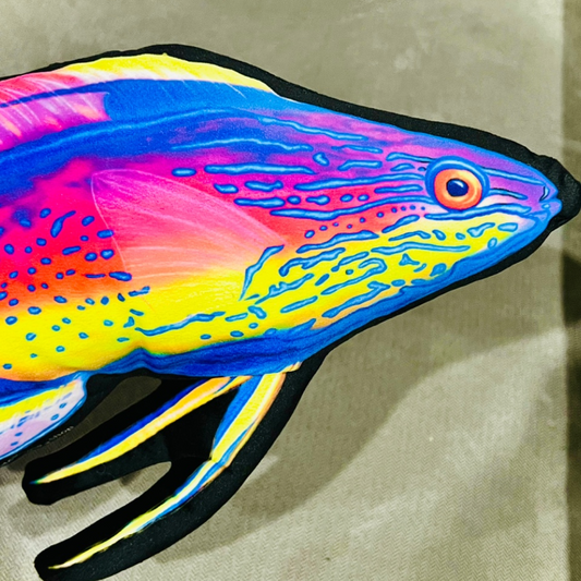 Super Male Lineatus Wrasse Pillow - Reef of Clowns