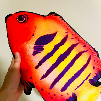 Flame Angelfish Pillow - Reef of Clowns