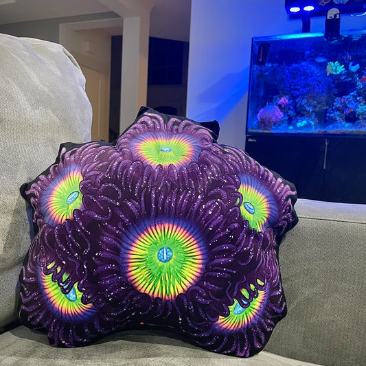 Sunny D Zoanthids Pillow - Reef of Clowns